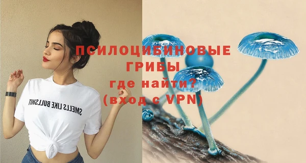 дурь Армянск