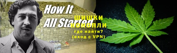 гидра Балахна