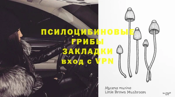 дурь Армянск