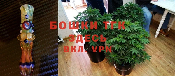 гидра Балахна
