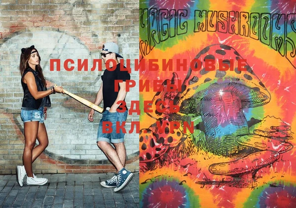 2c-b Аркадак