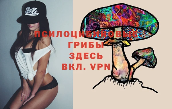 2c-b Аркадак