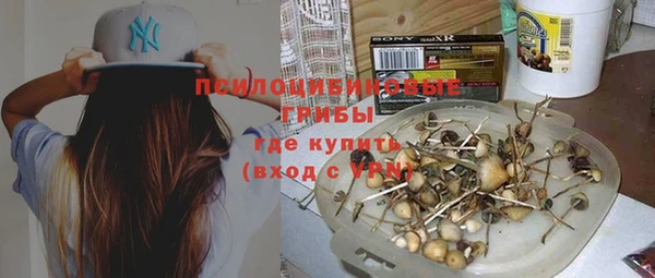 a pvp Баксан