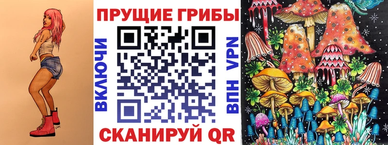 где продают   Новоузенск  Псилоцибиновые грибы MAGIC MUSHROOMS 
