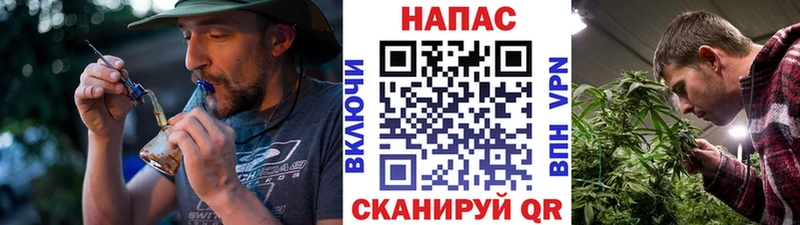 закладка  MEGA tor  Марихуана LSD WEED  Новоузенск 